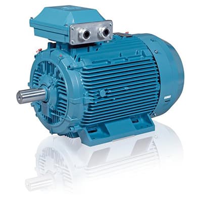 Low Voltage Motors